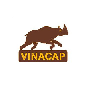 Vinacap (Dây mạng)