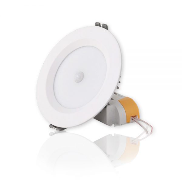 Led Âm Trần Rạng Đông